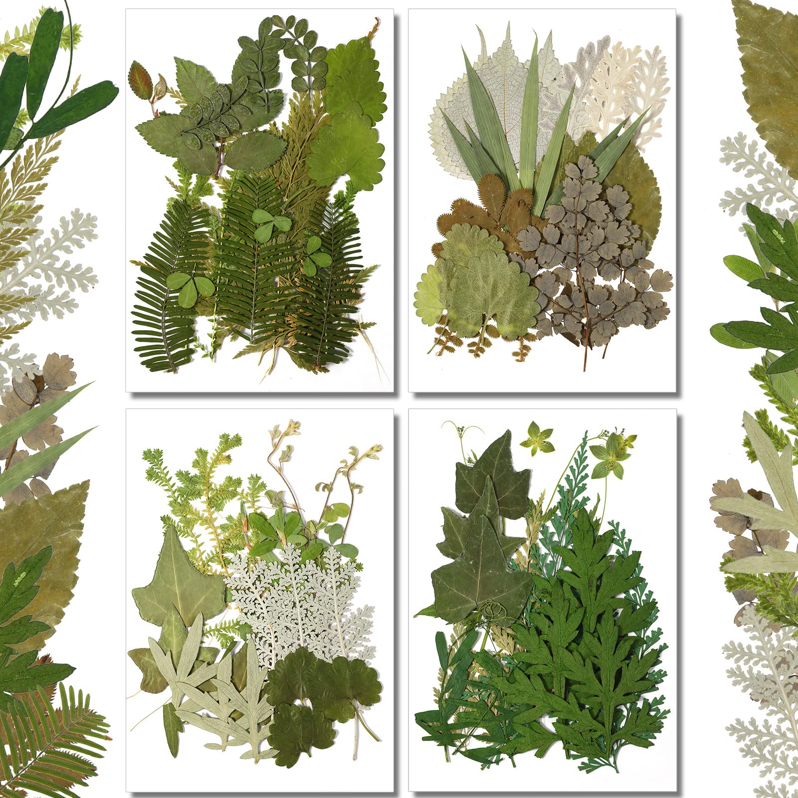 84 Pieces Dried Pressed Leaves Dried Flowers for Resin Dried Leaves for Resin Mini Dried Flowers for Crafts Dried Greenery Assor