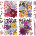 Eshow 113Pcs Dried Pressed Flowers for Crafts, Natural Dry Flowers for Resin with Tweezer for Scrapbooking DIY Art Crafts, Epoxy
