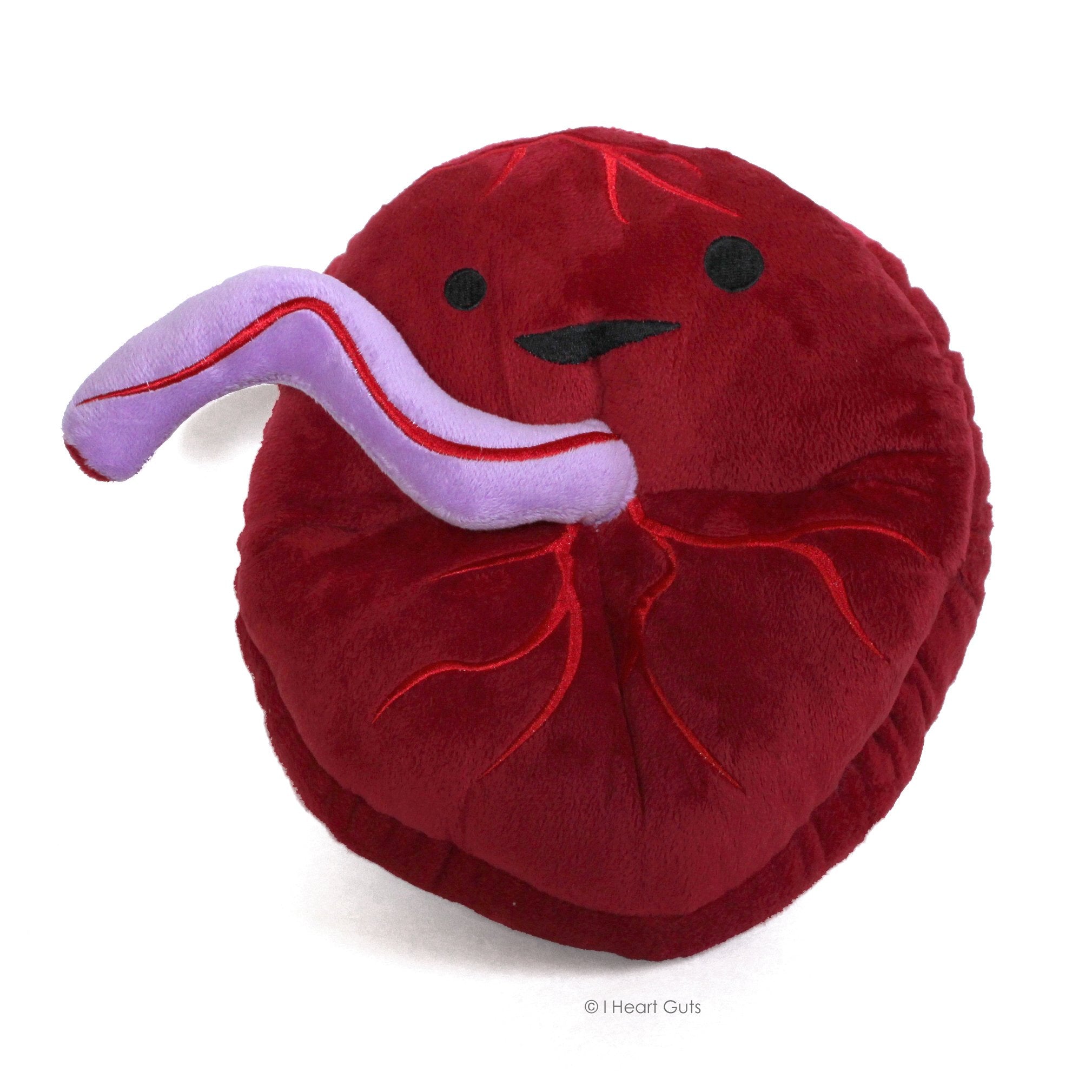 I Heart Guts Placenta Plush - Babys First Roommate - 10 Odd Baby Gift Stuffed Toy, Gift for New Mom, OB/GYN, Midwife, LDN, Doul