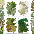 Timtin 84 Pieces Dried Pressed Leaves Flowers for Resin Mini Dried Flowers for Crafts Greenery Assorted for Art DIY Handmade Boo