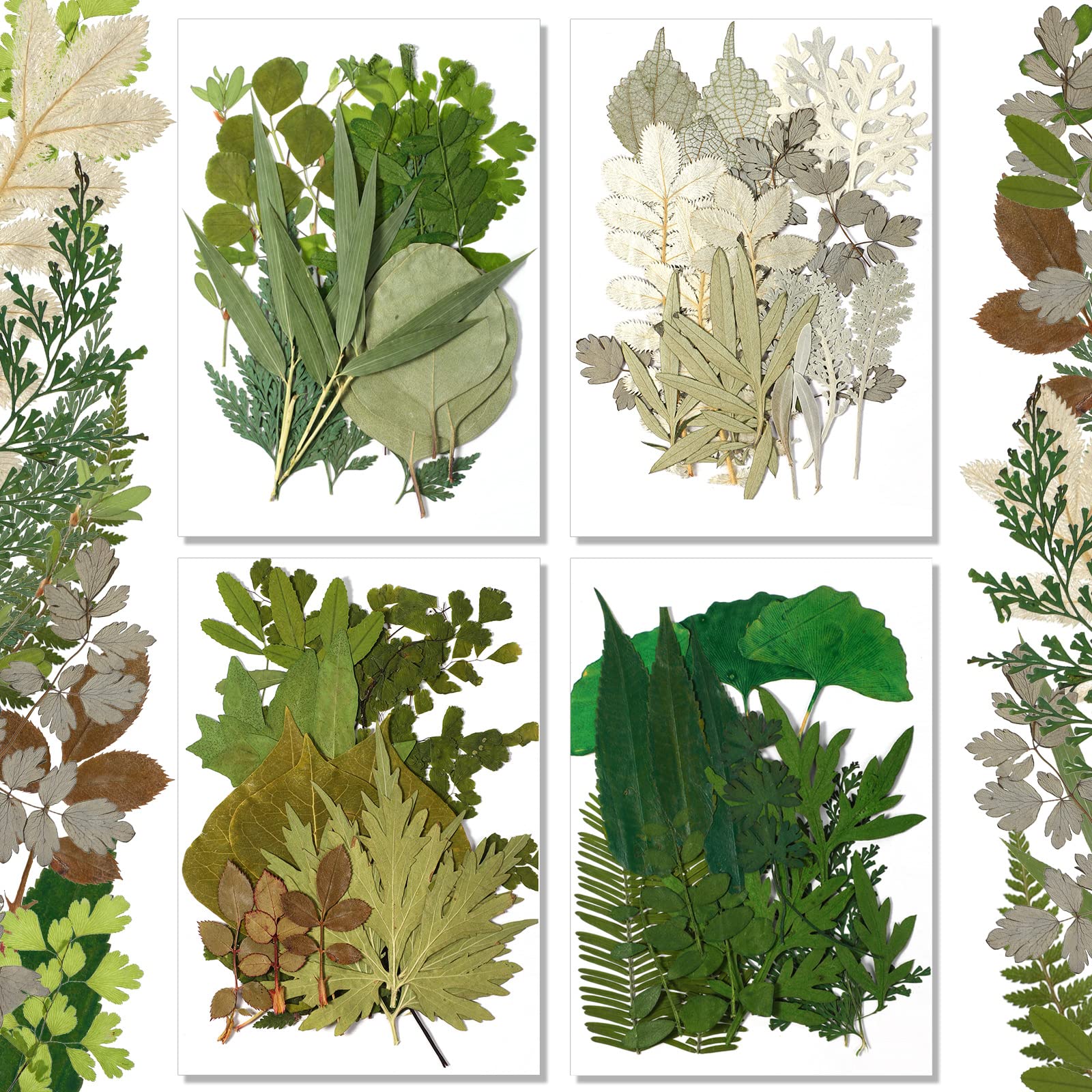 Timtin 84 Pieces Dried Pressed Leaves Flowers for Resin Mini Dried Flowers for Crafts Greenery Assorted for Art DIY Handmade Boo