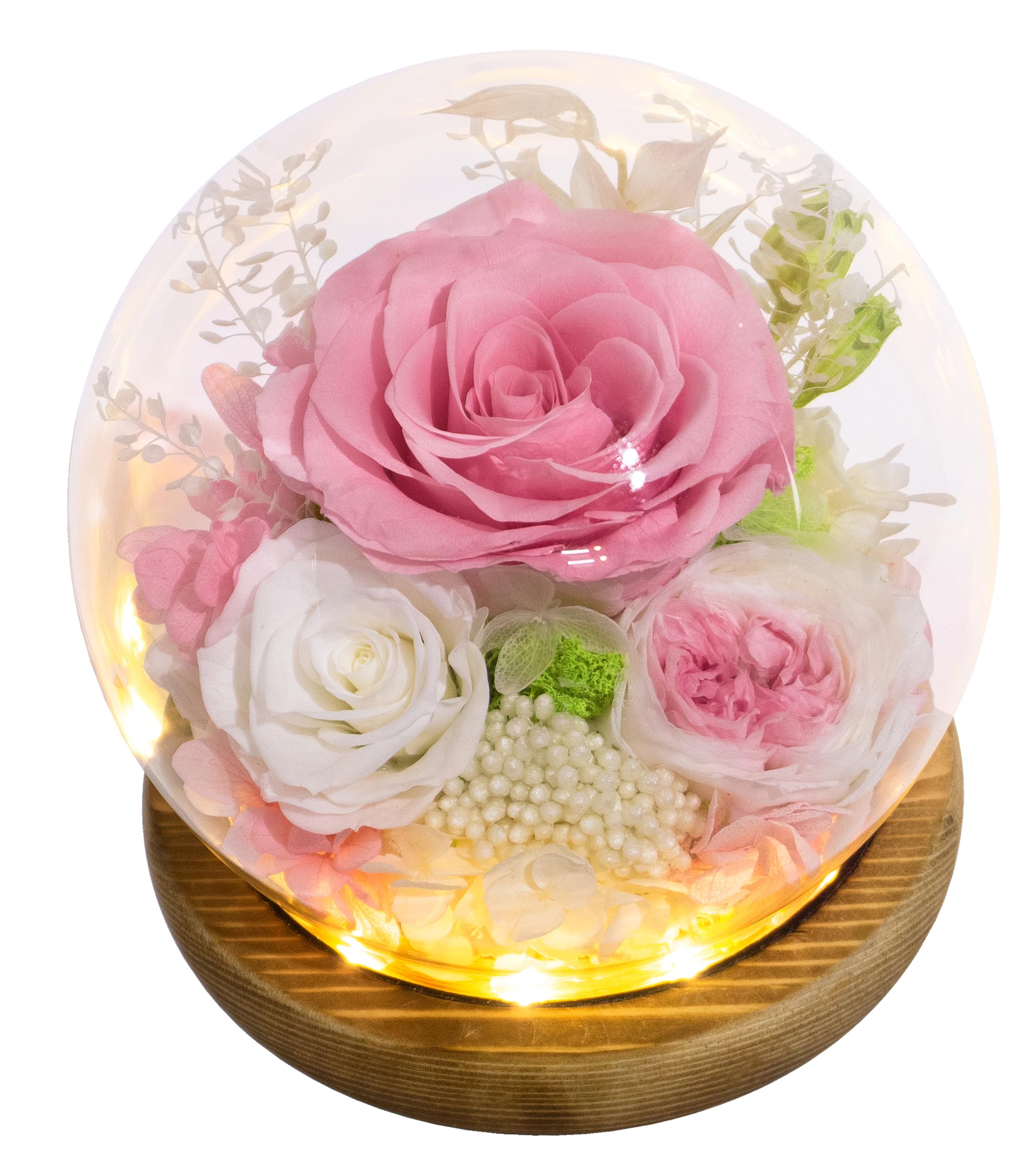 Valley of Rain & Forest Long-Lasting Real Flowers, Unique Floral Gift for You to send Love for All Occasions, for Indoor Decorat