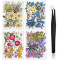 Nuanchu 200 Pcs Pressed Flowers Bulk Dried Flower for Craft Resin Mold Bookmark Scrapbooking Nail Cake White Orange Natural Pres