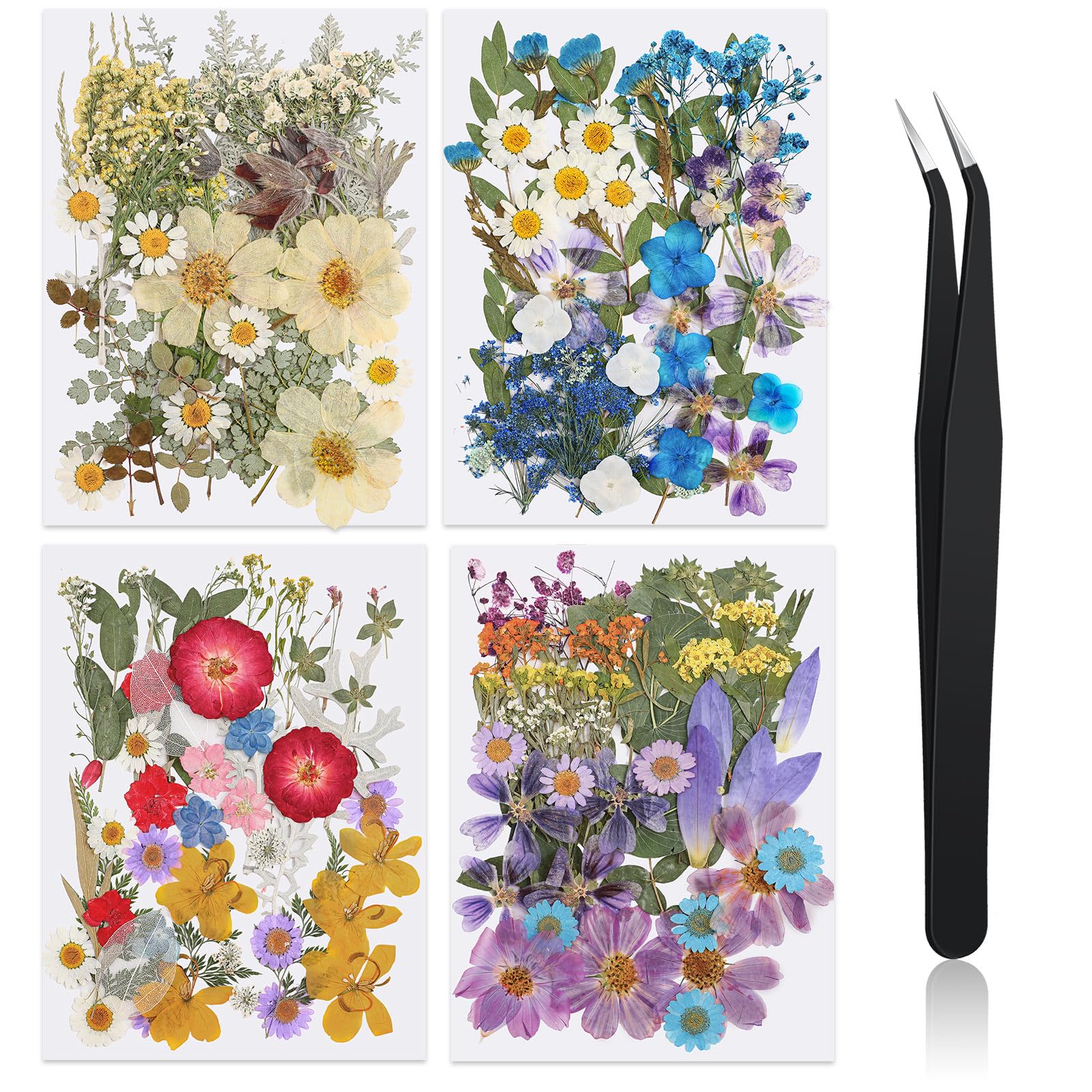Nuanchu 200 Pcs Pressed Flowers Bulk Dried Flower for Craft Resin Mold Bookmark Scrapbooking Nail Cake White Orange Natural Pres