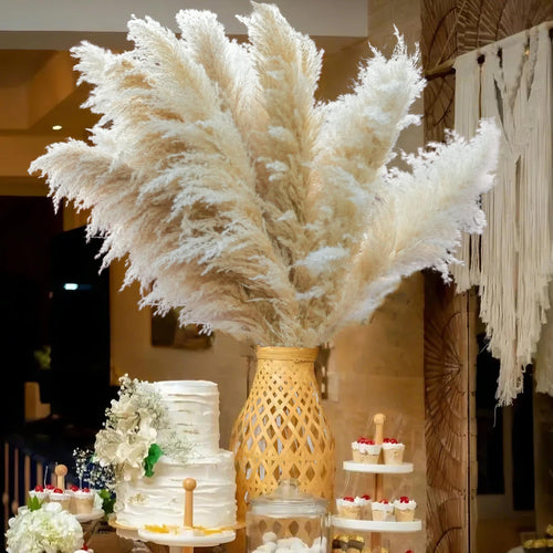 20pcs 40 Pampas Grass Tall Decor - Pompas Floral, Tall Pampas Grass for Floor Vases, Living Room Floor, Floor Plants, Plumas p