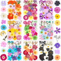 190Pcs Dried Pressed Flowers for Crafts,Xinxinran Dry Flower Kit for Resin Molds,Epoxy Resin Accessories,Bookmark,Nails, Jewelry