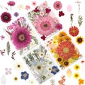 LUXEEASE 100 Pcs Large Dried Pressed Flowers for Crafts, Real Natural Flowers in Vibrant Colors for Resin, DIY Art, Jewelry & So