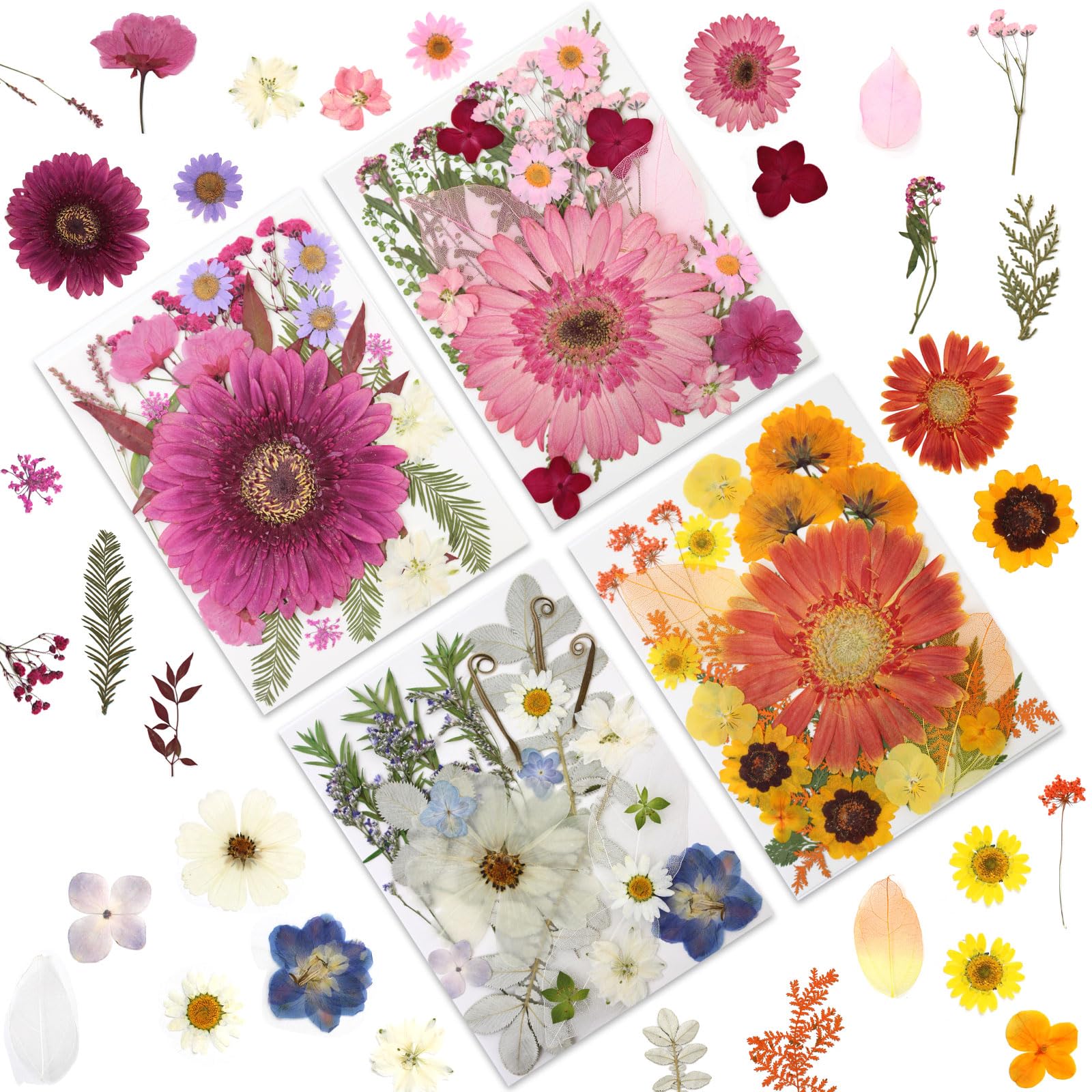LUXEEASE 100 Pcs Large Dried Pressed Flowers for Crafts, Real Natural Flowers in Vibrant Colors for Resin, DIY Art, Jewelry & So