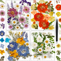 85Pcs Pressed Flowers for Crafts, Colorful Dried Flowers for Crafts Real Natural Dried Pressed Flowers Dry Leaves Bulk for Resin