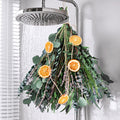 DomeStar Eucalyptus for Shower with Lavender, 15-17 Mixed Stems (1 Pack) - Dried Orange Slices & Hook, Bathroom Hanging Decor,