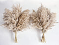 Pampas Grass Decor, Natural Dry Pampas Grass Small, Short Pampass Bulk for Farmhouse, Wall, Kitchen, Bedroom Decor, Office Decor