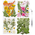CONVELIFE Dried Flowers for Resin, 68pcs Bulk Real Natural Pressed Flowers for DIY Art Crafts, Epoxy Jewelry, Candle, Soap Makin