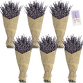 6 Packs Natural Dried Lavender Flowers Bouquet with Stems (14-17 Inches, 540-600 Stems Total) - Home Fragrance for Drawers, Wedd