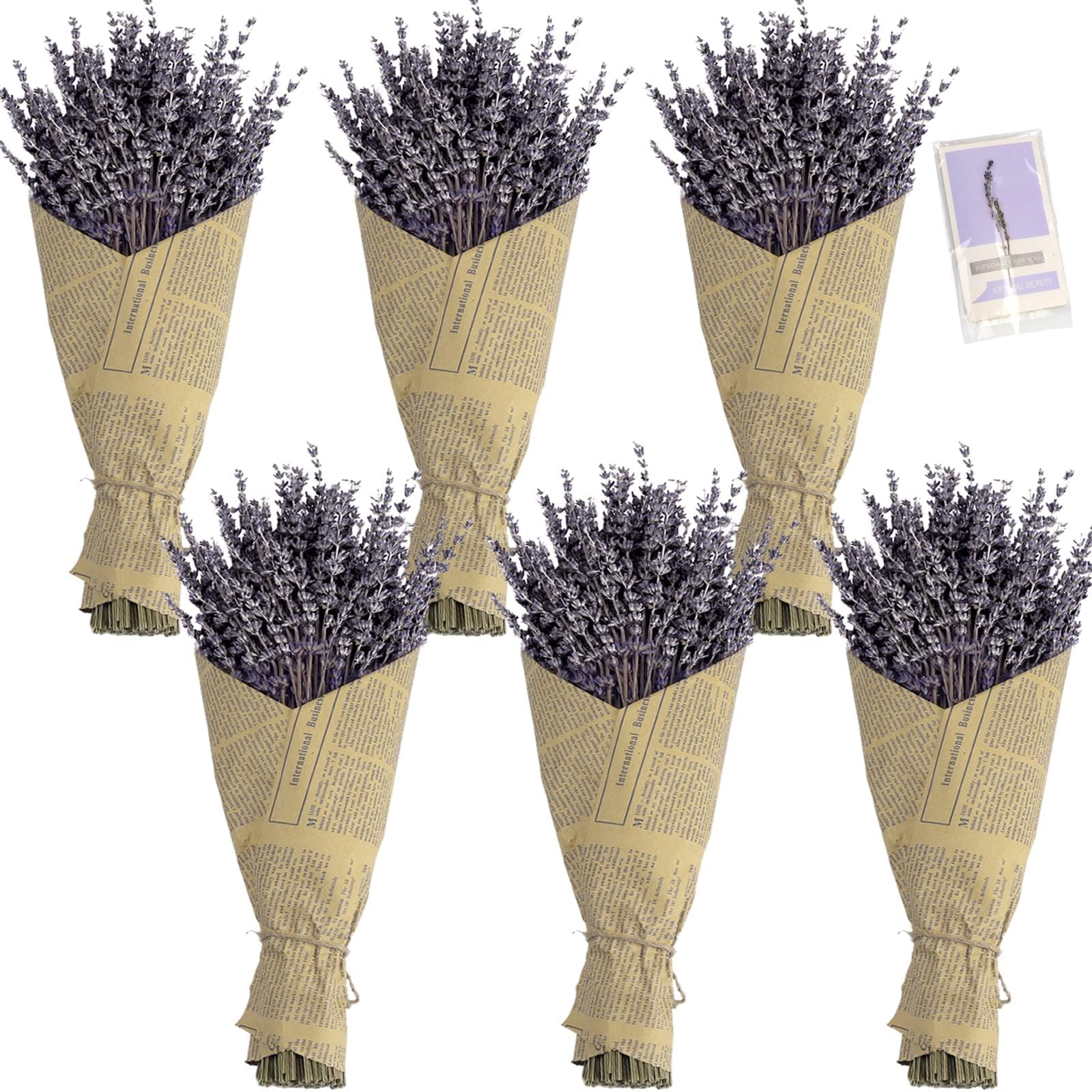 6 Packs Natural Dried Lavender Flowers Bouquet with Stems (14-17 Inches, 540-600 Stems Total) - Home Fragrance for Drawers, Wedd