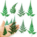 HEISENLIN Pressed Dried Flowers Leaves, 42PCS Real Natural Ferns Dried Leaves Plant for Pressed Leaf Art DIY Crafts Embellishmen