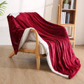 Electric Heated Throw Blanket 50 x 60, Soft Flannel Throw Blanket with 4 Heating Levels & 4 Hours Auto Off, Machine Washable for