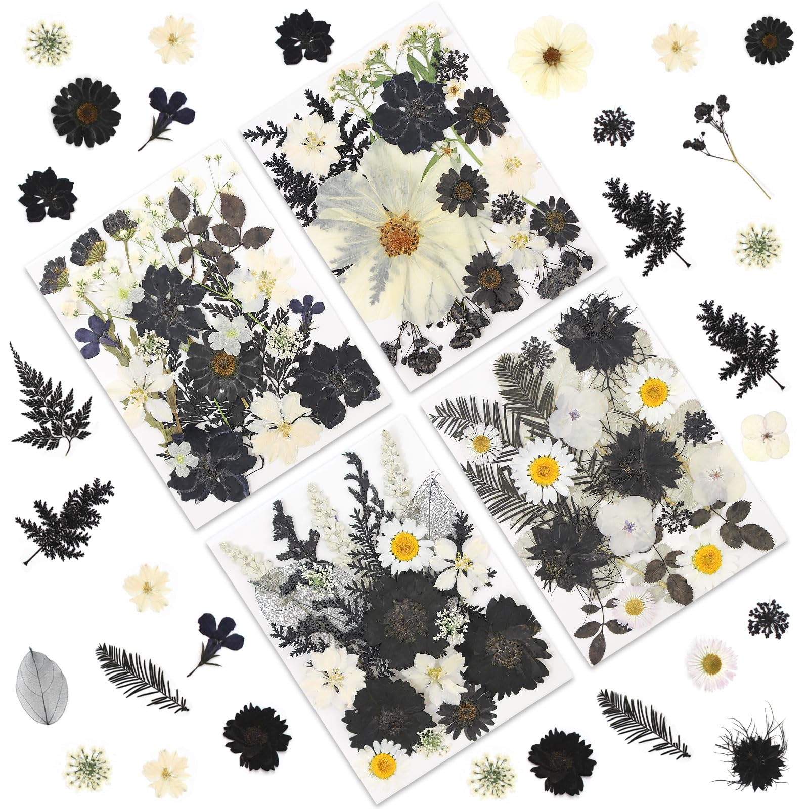 LUXEEASE 90P Black & White Dried Flowers for Crafts, Real Natural Pressed Flowers in Halloween-Style Tones for Resin Art, DIY Cr