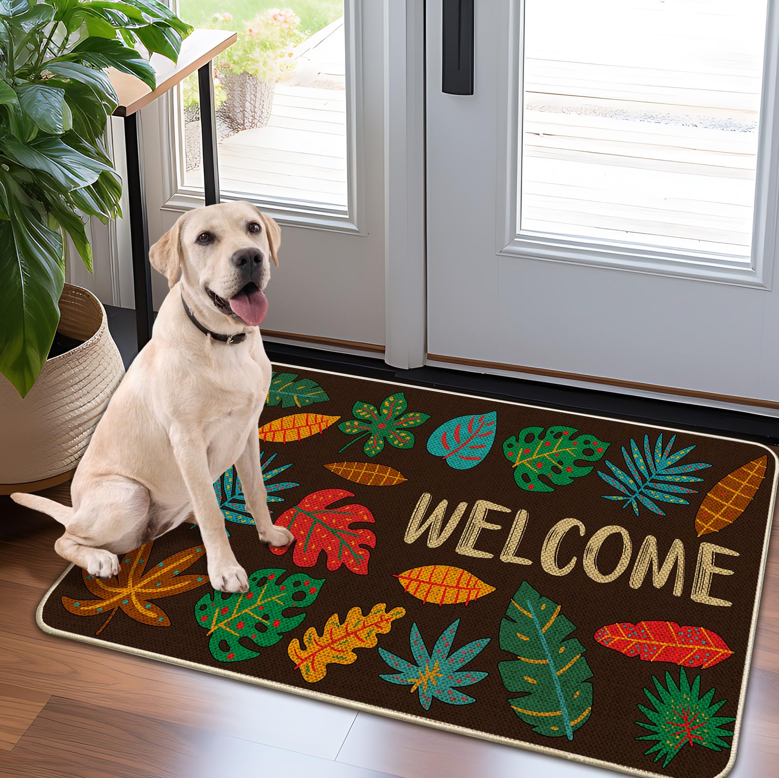 Door Mat-Non-Slip Rubber Back Welcome Mat for Front Door,Indoor Outdoor Entryway,Durable & Absorbent Low Profile Doormat for Hom