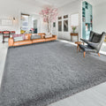 Softlife Grey 4x5.3 Feet Area Rug for Living Room Bedroom Super Soft Shaggy Rugs for Boys Girls Kids Room Fluffy Fuzzy Carpets L