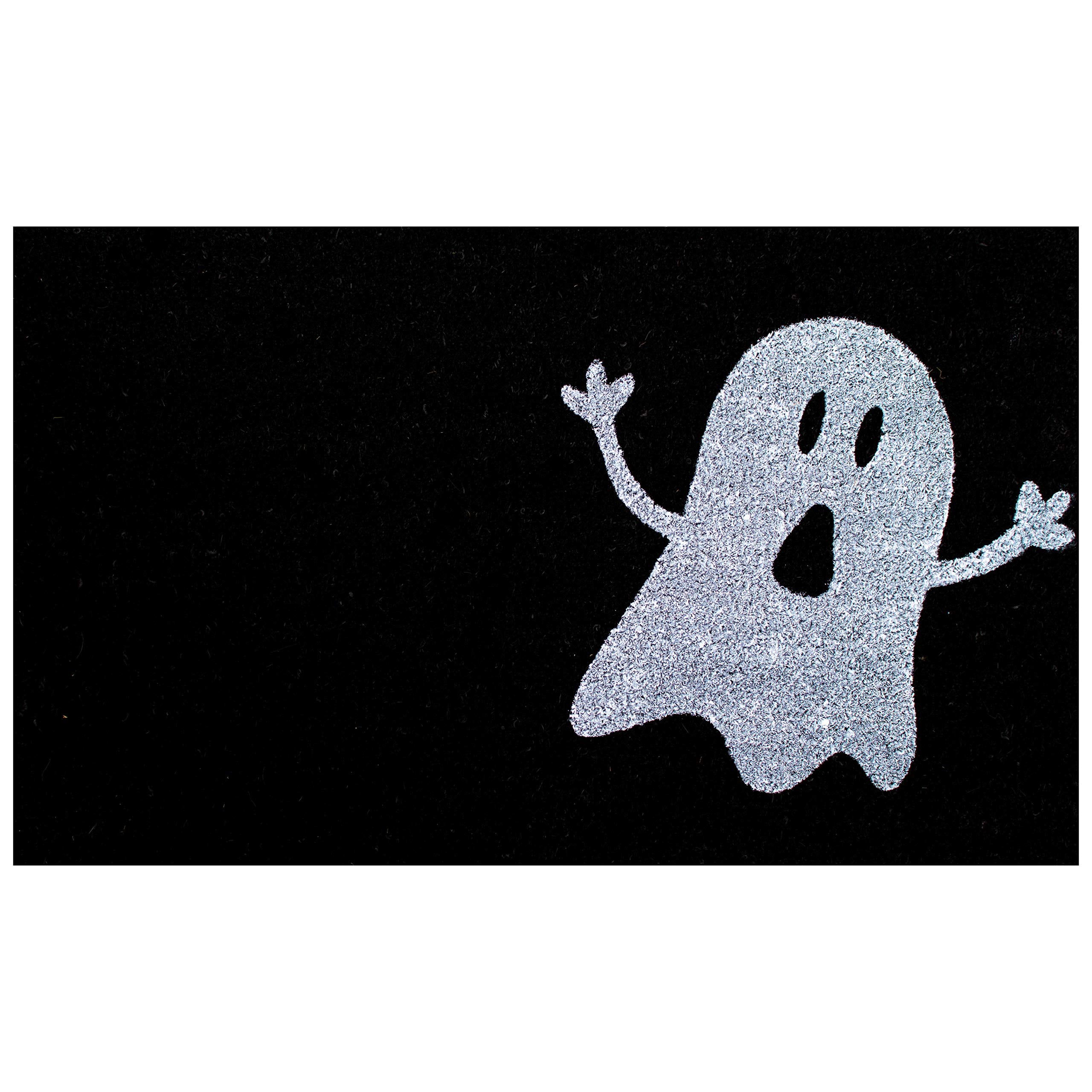 Calloway Mills 102001729 Ghost Doormat, 17 x 29, Black/White