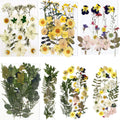 BIHRTC 100PCS Dried Flowers for Resin Real Dry Flower Natural Pressed Died Leaves Sunflowers Chrysanthemum Resin Small Colorful 