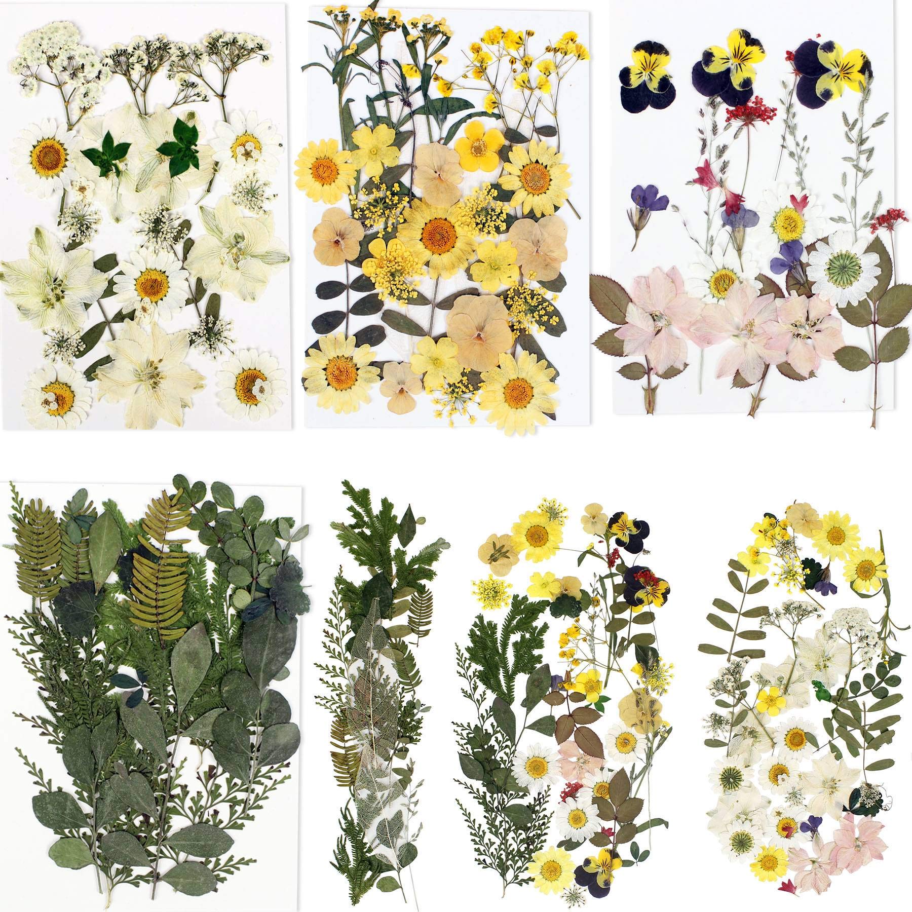 BIHRTC 100PCS Dried Flowers for Resin Real Dry Flower Natural Pressed Died Leaves Sunflowers Chrysanthemum Resin Small Colorful 
