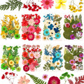 Nuanchu 200 Pcs Dried Pressed Flowers for Resin Natural Real Pressed Flowers Leaves Bulk for Crafts DIY Art Jewelry Making Flora