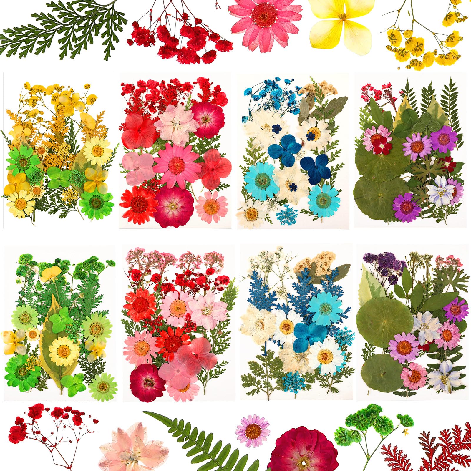 Nuanchu 200 Pcs Dried Pressed Flowers for Resin Natural Real Pressed Flowers Leaves Bulk for Crafts DIY Art Jewelry Making Flora