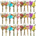 Nuanchu 30 Pcs Mini Dried Floral Flower Forget Me Not Bouquets Dried Embossing Flowers with Stem for Vase, Wedding, DIY Scrapboo