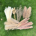 100Pcs Pampas Grass Boho Home Decor 17 inch Natural Dried Flowers-Pampas Grass Contains Bunny Tails White Pampas Brown Pampas.Bo