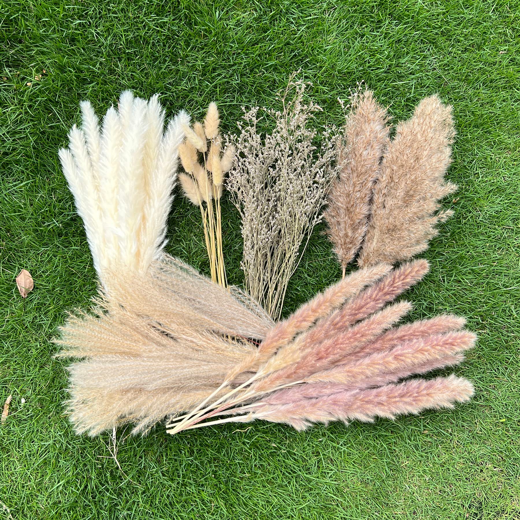 100Pcs Pampas Grass Boho Home Decor 17 inch Natural Dried Flowers-Pampas Grass Contains Bunny Tails White Pampas Brown Pampas.Bo