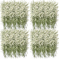 Lasnten 200 Pcs Mini Dried Babys Breath Pressed White Flowers Bulk Real Natural Flat Gypsophila Babys Breath for Wedding Invita