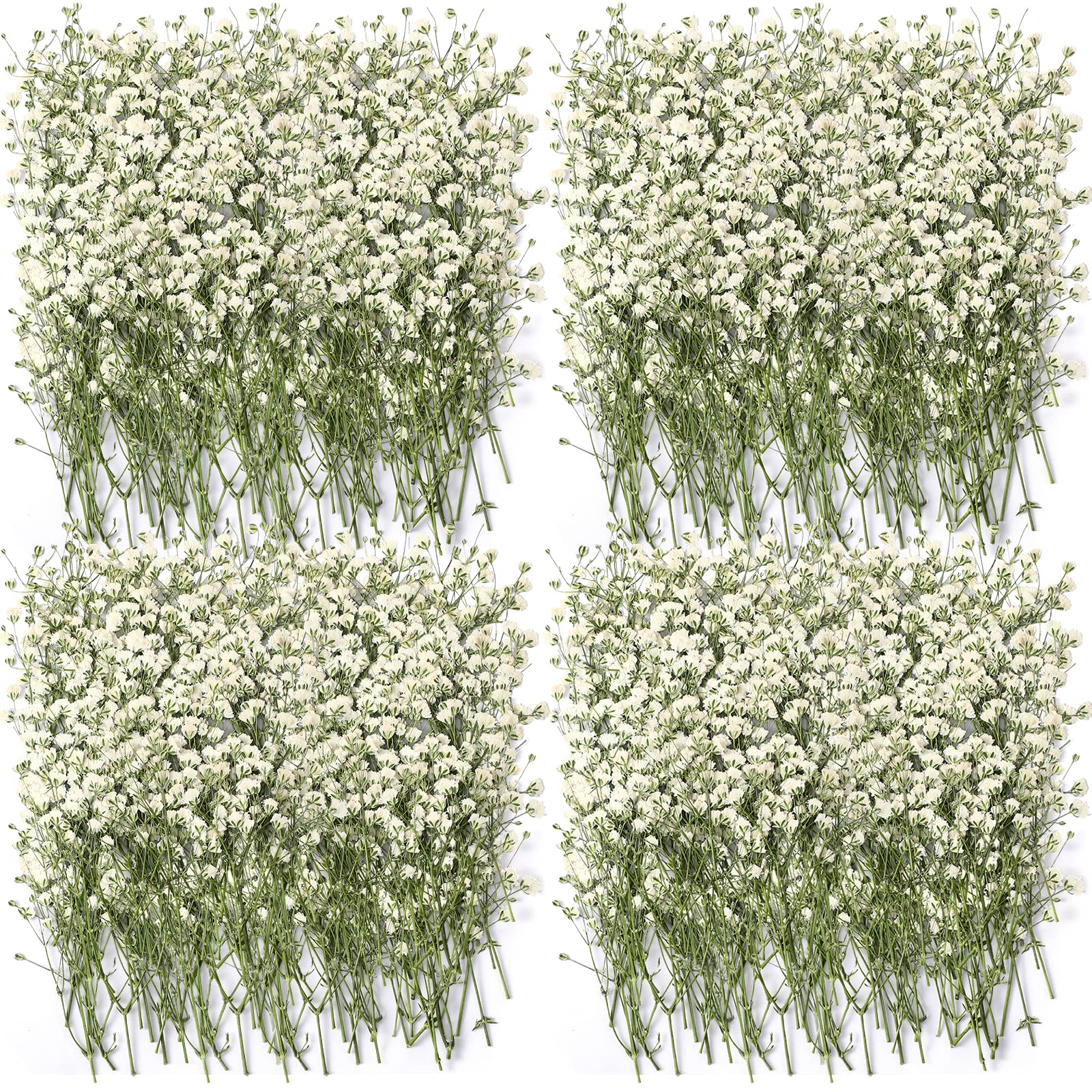 Lasnten 200 Pcs Mini Dried Babys Breath Pressed White Flowers Bulk Real Natural Flat Gypsophila Babys Breath for Wedding Invita