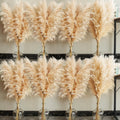 40 inch 40 Stems Natural Pampas Grass Decor Tall, pompas Grass, Tall Pampas Grass for Wedding, Party, Farmhouse, Boho Home Decor