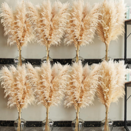 40 inch 40 Stems Natural Pampas Grass Decor Tall, pompas Grass, Tall Pampas Grass for Wedding, Party, Farmhouse, Boho Home Decor