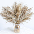 WILD AUTUMN Pampas Grass Decor dreid Flowers Fluffy pompas Grass vase Filler White Pampas Wedding Boho deocr Flowers Home Table 