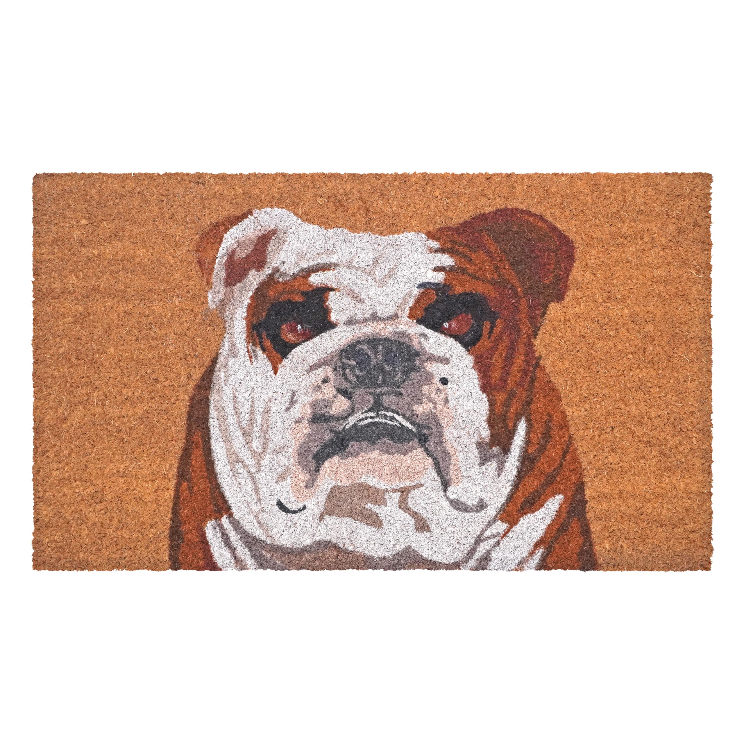 Calloway Mills 109801729 English Bull Dog Doormat 17 x 29