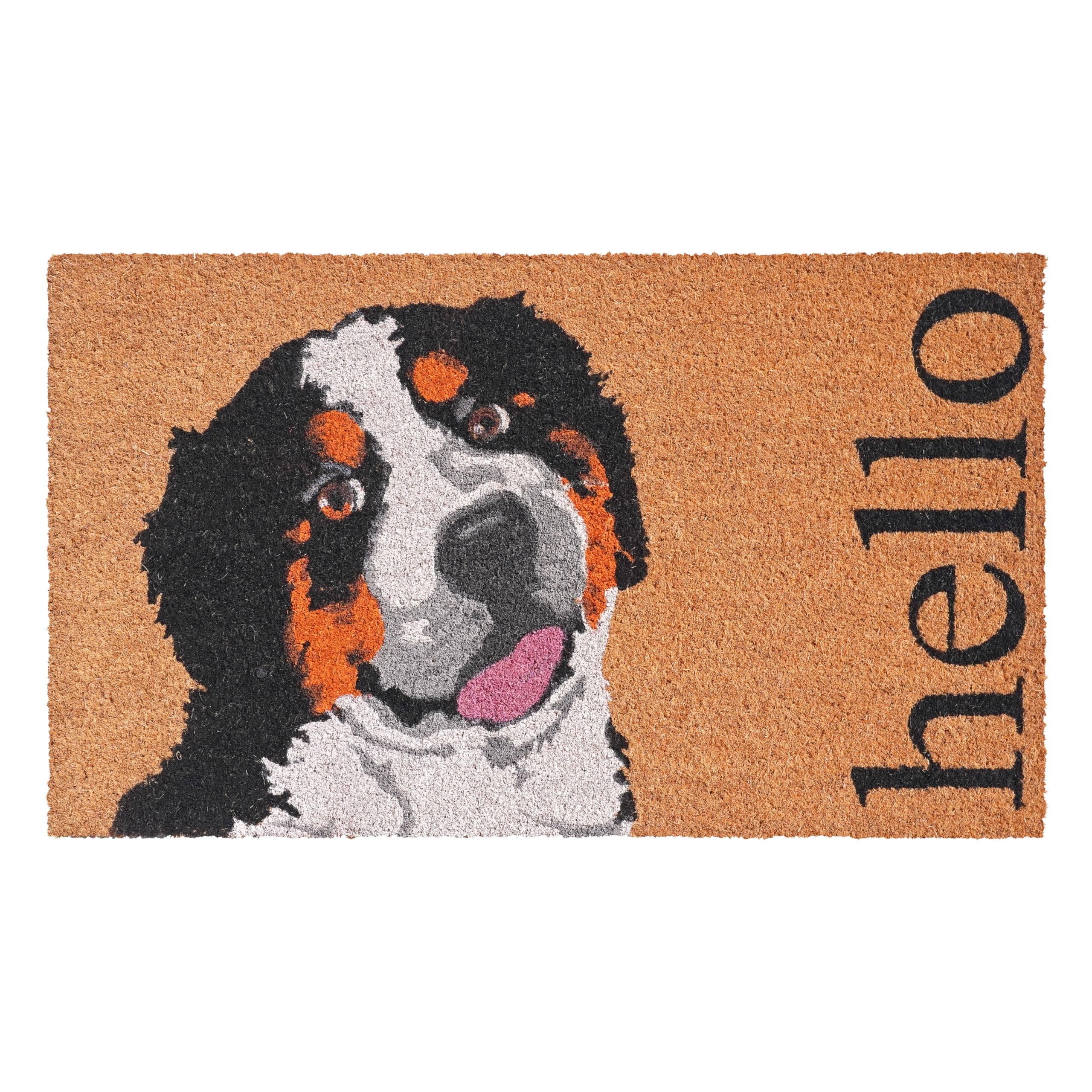 Calloway Mills 109811729 Burmese Mountain Dog Doormat 17 x 29
