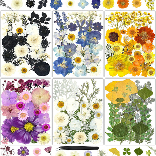 150Pcs Pressed Flowers for Crafts, Colorful Dried Flowers for Crafts Real Natural Dried Pressed Flowers Dry Leaves Bulk for Resi