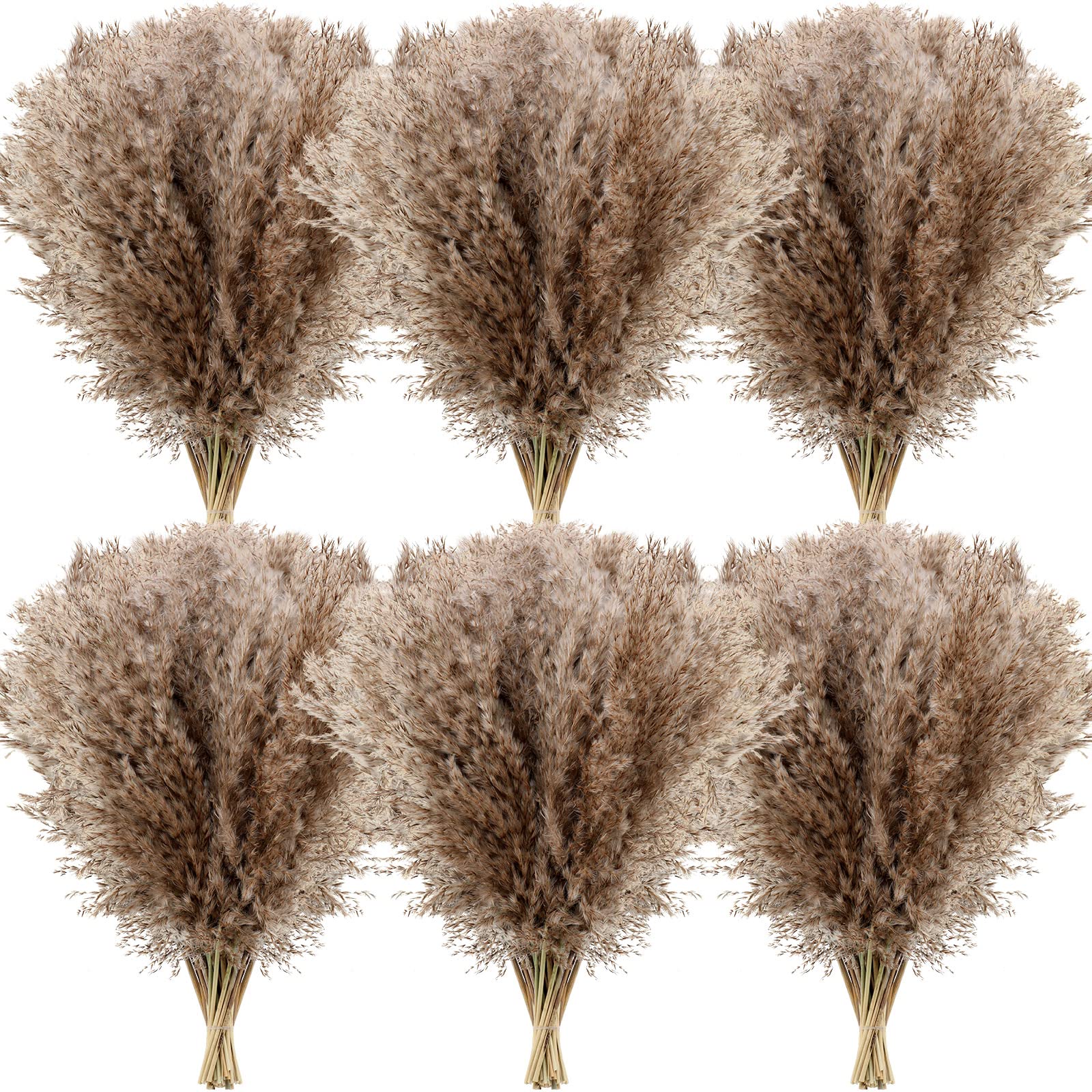 Janinka 100 Pcs Dried Pampas Grass Decor 17 Inch Bulk Natural Small Pompous Wild Fluffy Pompas Floral Boho Decor Flowers for Wed