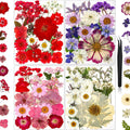 85Pcs Pressed Flowers for Crafts, Real Dried Flowers for Crafts Dried Pressed Flowers Dry Leaves in Red, White, Pink & Purple fo