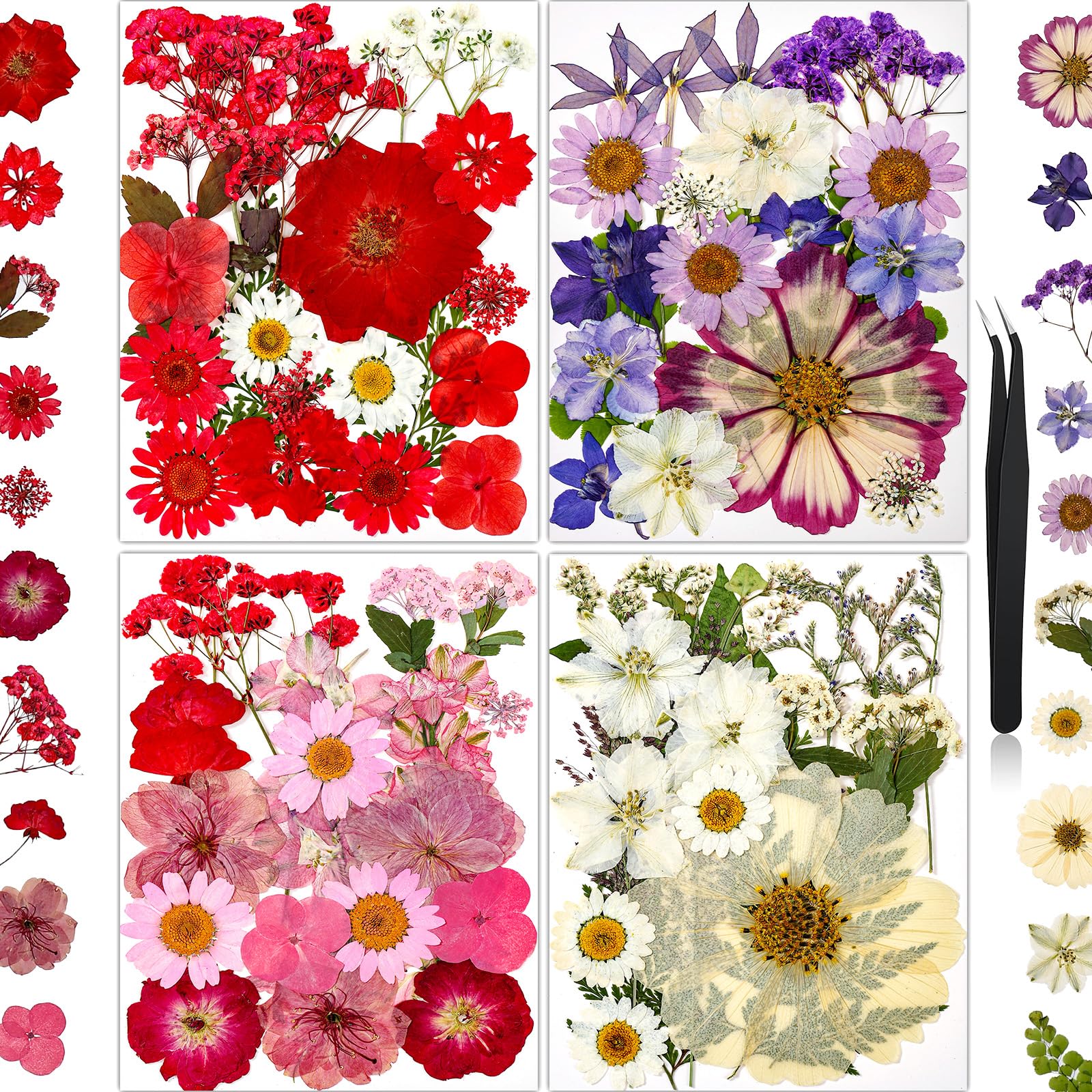 85Pcs Pressed Flowers for Crafts, Real Dried Flowers for Crafts Dried Pressed Flowers Dry Leaves in Red, White, Pink & Purple fo