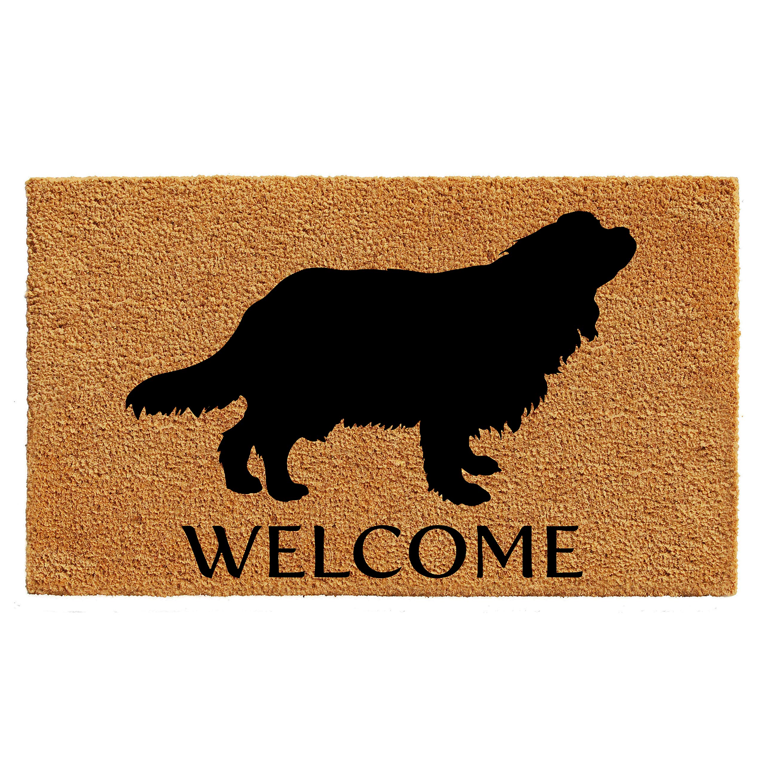 Calloway Mills AZ105641729 Cavalier King Charles Spaniel Doormat, 17 x 29, Natural/Black