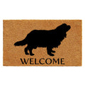 Calloway Mills AZ105642436 Cavalier King Charles Spaniel Doormat, 24 x 36, Natural/Black