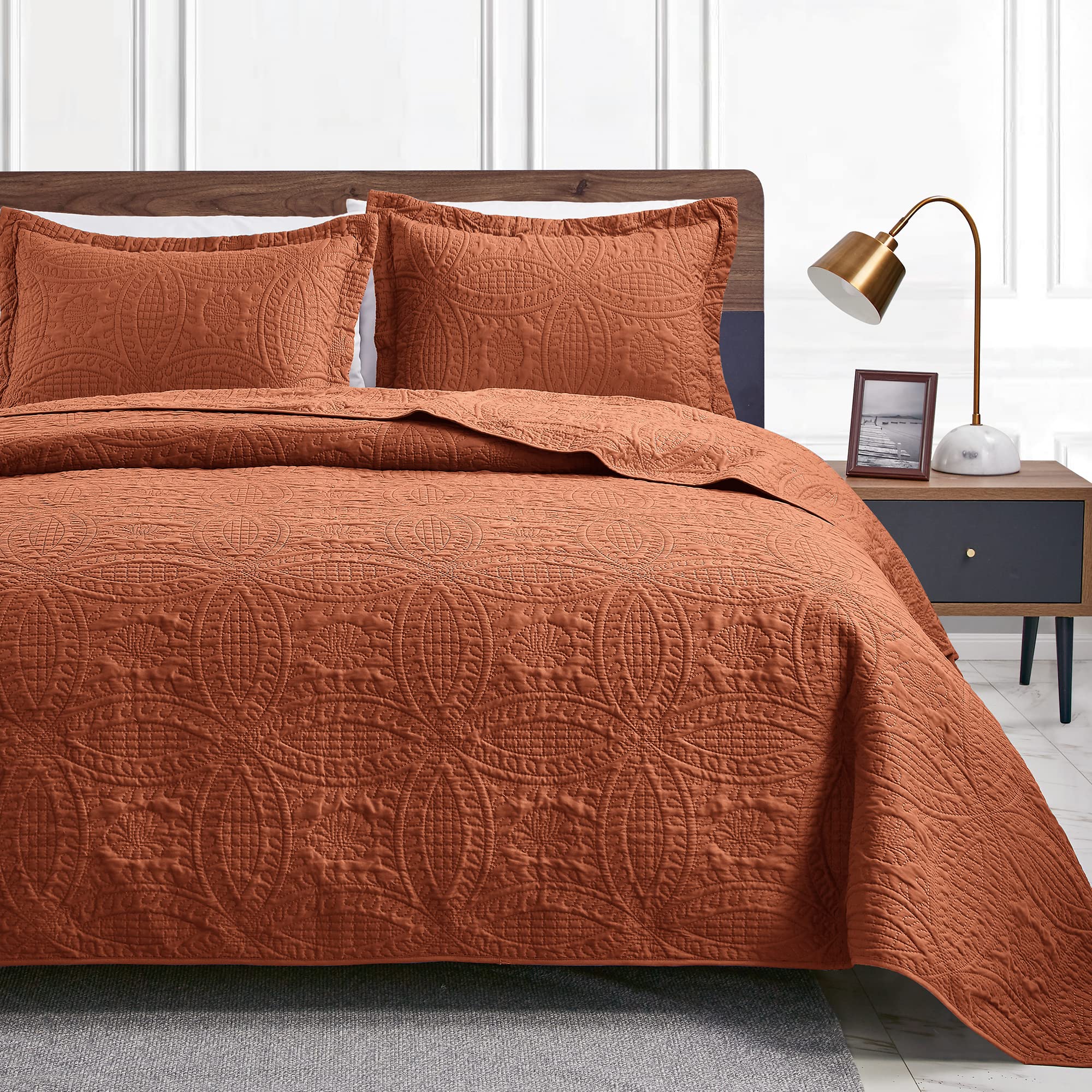 Loves cabin Quilts for Queen Bed Umber Bedspreads - Soft Bed Summer Quilt Lightweight Microfiber Bedspread- Modern Style Coin P