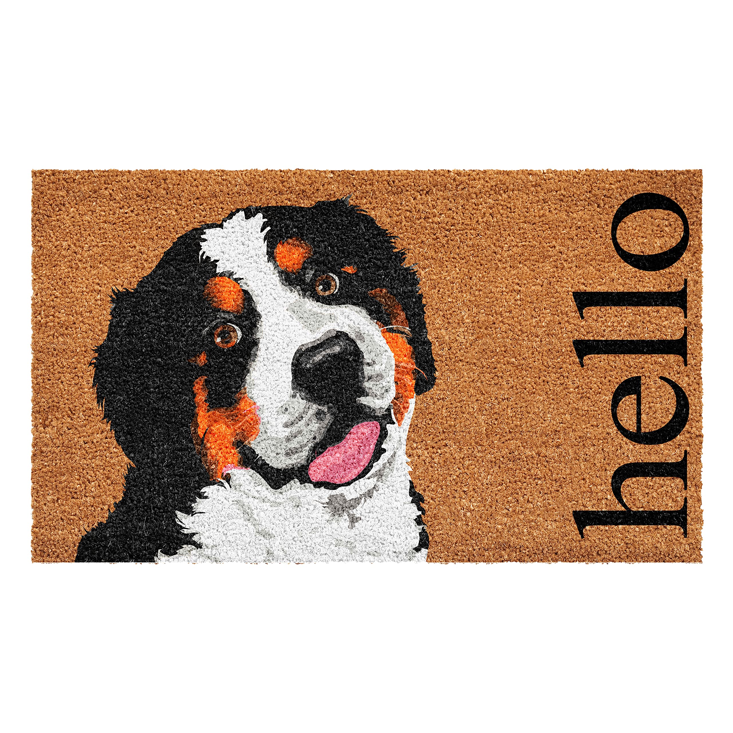 Calloway Mills 109812436 Burmese Mountain Dog Doormat 24 x 36