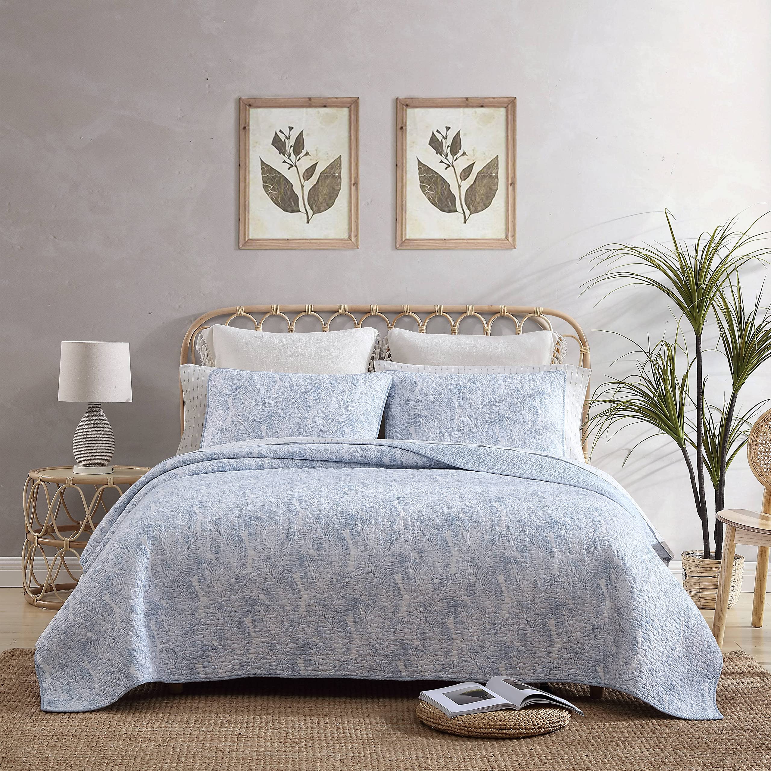 Tommy Bahama - Queen Quilt Set, Reversible Cotton Bedroom Decor with Matching Shams, Coastal Bedding with Textured Reverse (Dist