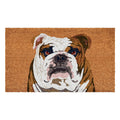 Calloway Mills 109802436 English Bull Dog Doormat 24 x 36
