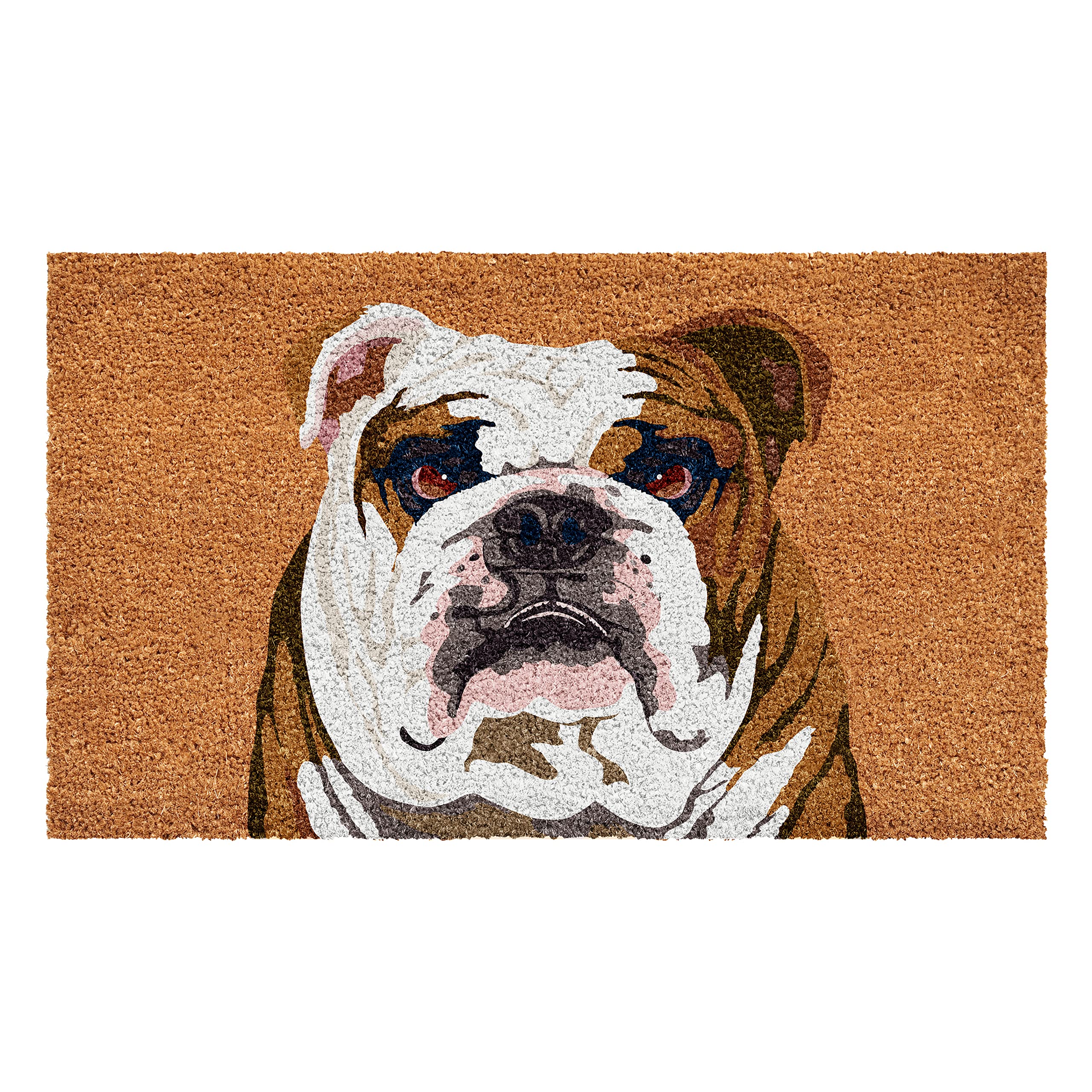 Calloway Mills 109802436 English Bull Dog Doormat 24 x 36