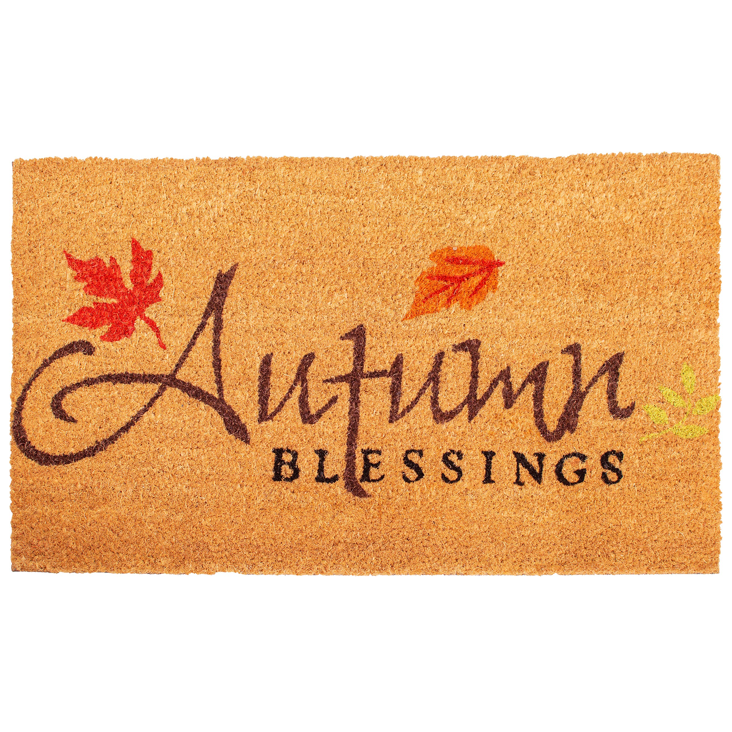 Calloway Mills AZ101841729 Blessed Doormat, 17 x 29, Multicolor